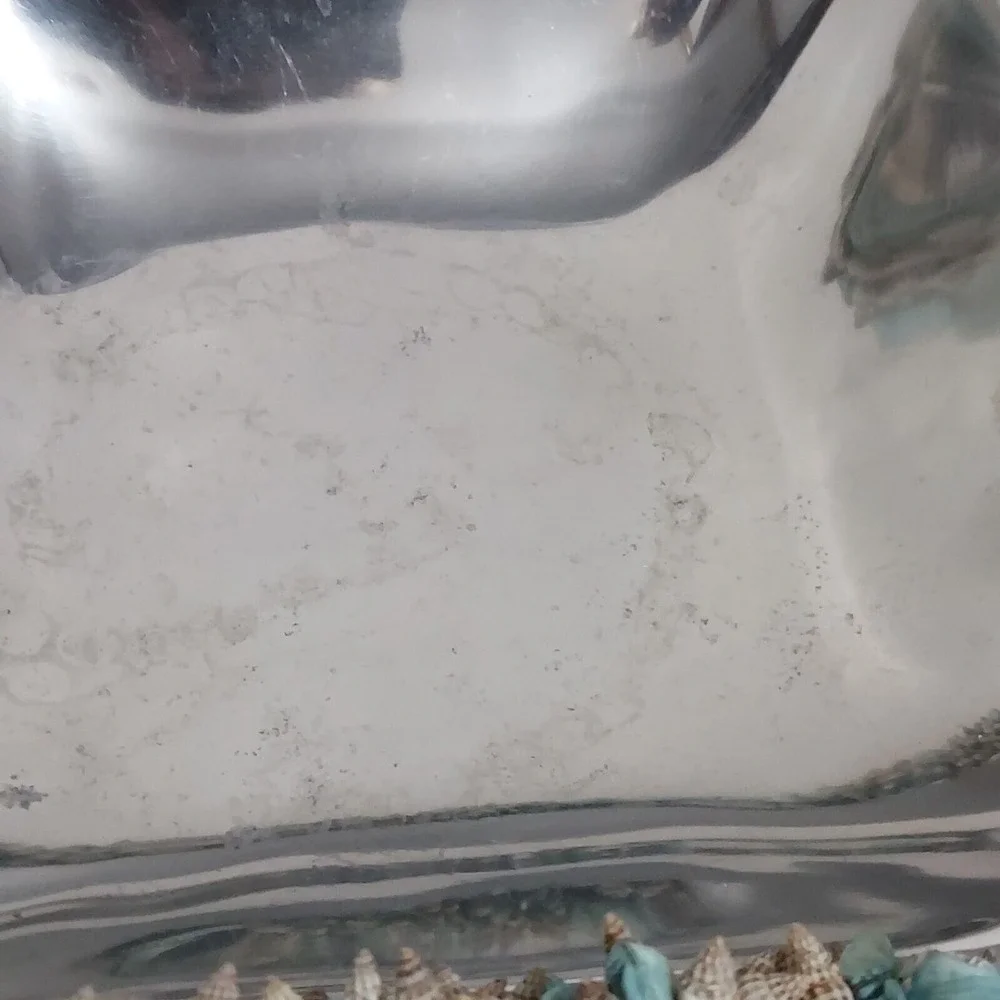 Zodax Silver Bowl with SeaShell Accented Handles 11